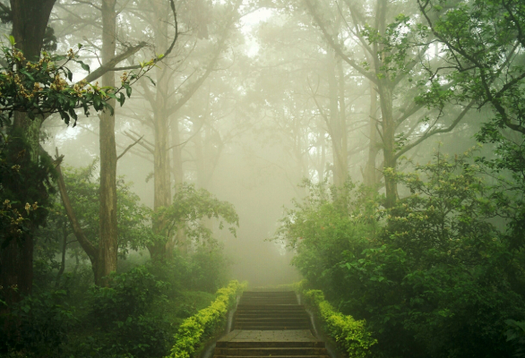 Destination
